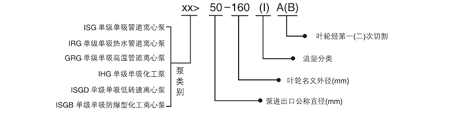 111.jpg